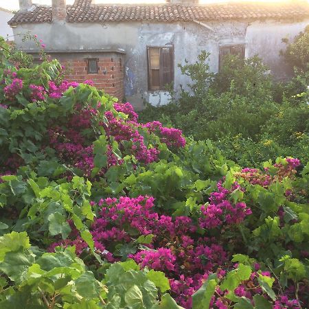 Parmis Rooms Çeşme المظهر الخارجي الصورة