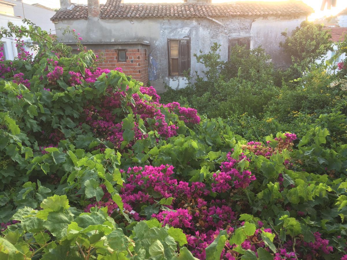 Parmis Rooms Çeşme المظهر الخارجي الصورة